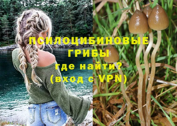 Альфа ПВП Аркадак