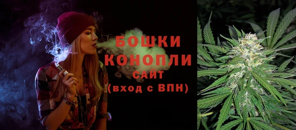 Альфа ПВП Аркадак