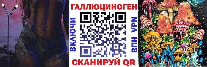 закладка  Армянск  Псилоцибиновые грибы Psilocybe 