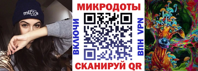 Галлюциногенные грибы Psilocybe Армянск